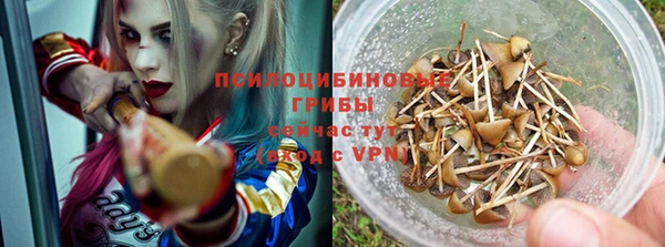 стафф Краснослободск