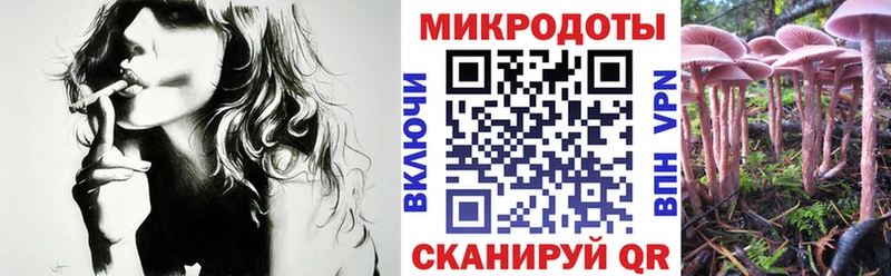 МЕГА зеркало Медногорск Псилоцибиновые грибы Magic Shrooms