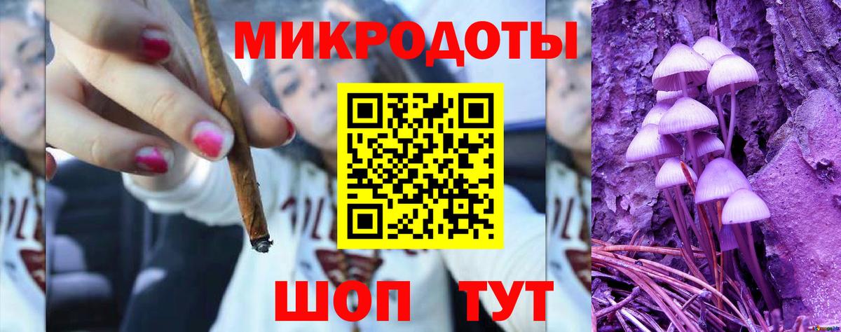 Псилоцибиновые грибы Cubensis Медногорск