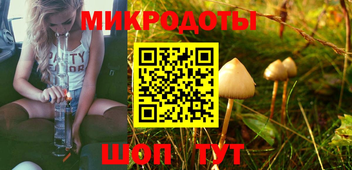 Медногорск  Псилоцибиновые грибы Magic Shrooms  Вход с VPN 